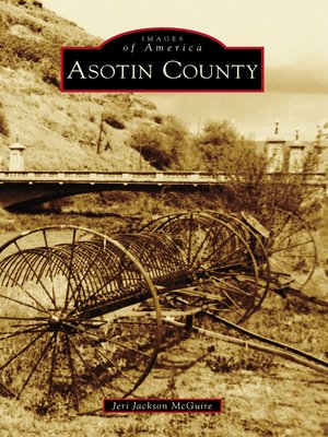 cover image of Asotin County
